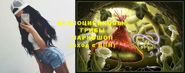 тгк Балахна