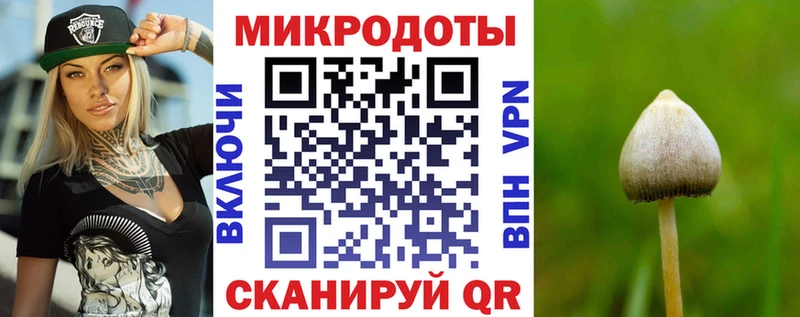 Псилоцибиновые грибы GOLDEN TEACHER  где продают наркотики  Красноармейск 